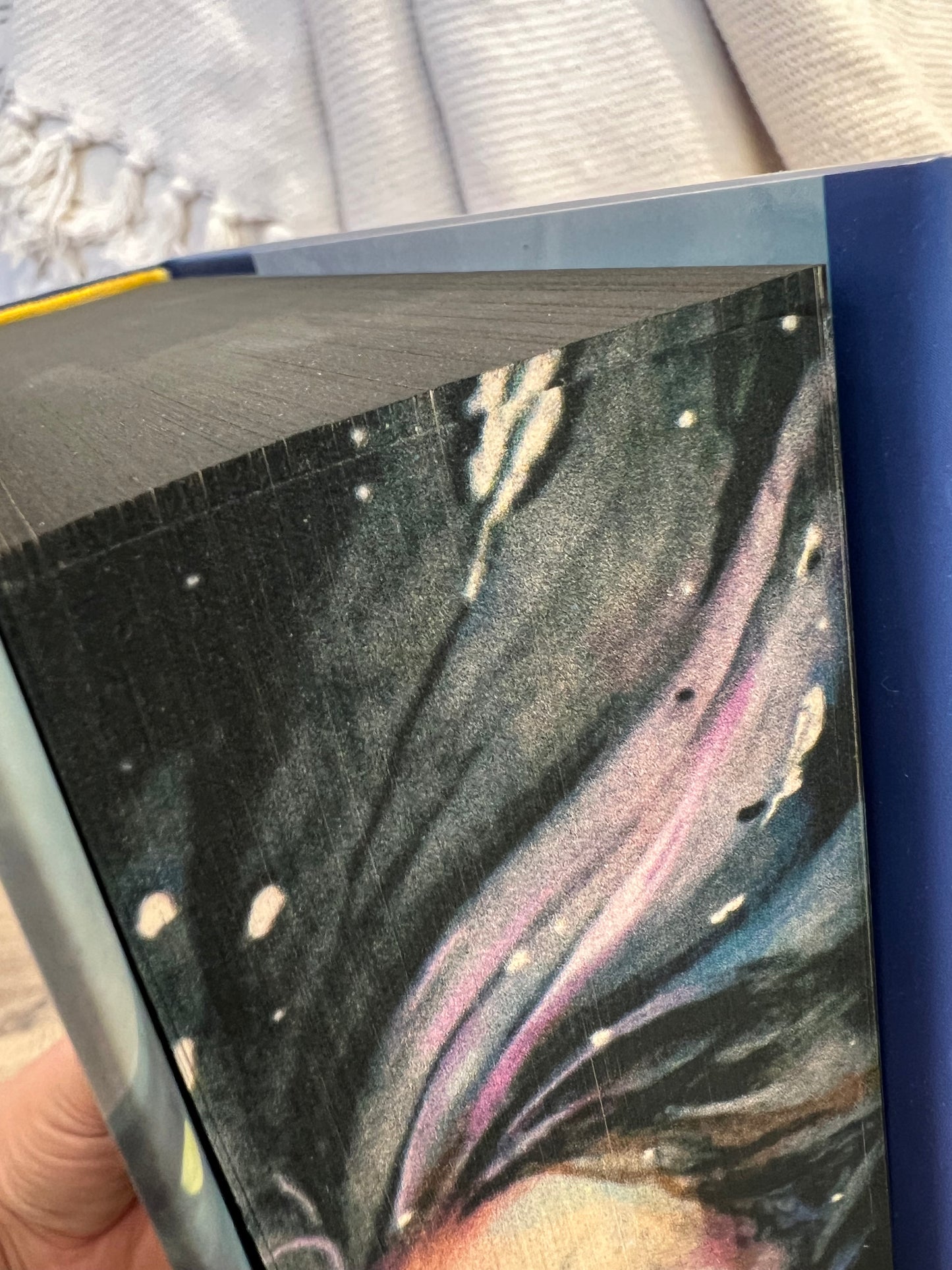 SECONDS SALE - Hanna's Bookpaintings House of Sky and Breath ONLY Crescent City Collaboration Hardback (UK edition)