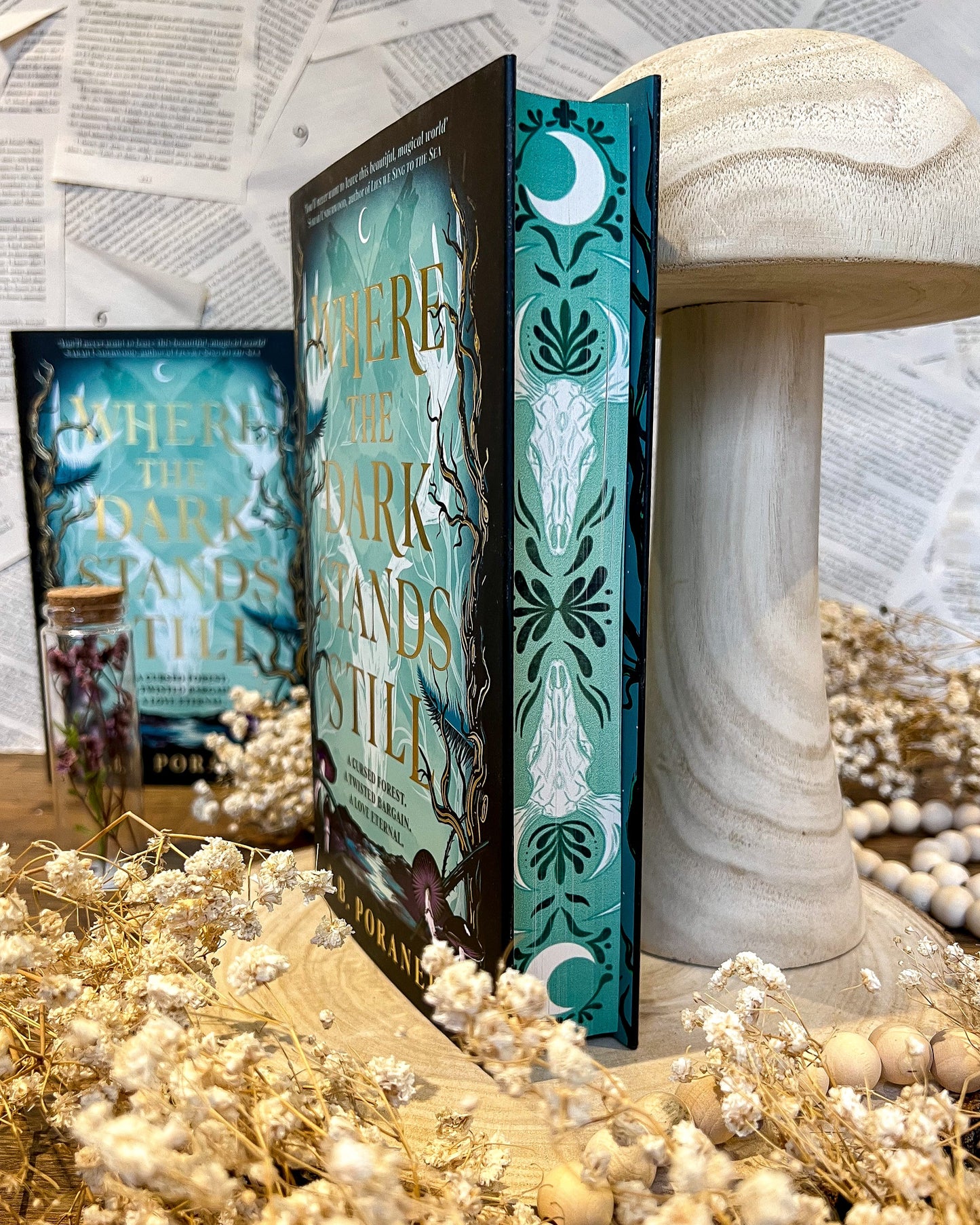 Where the Dark Stands Still by A.B. Poranek (UK hardback)