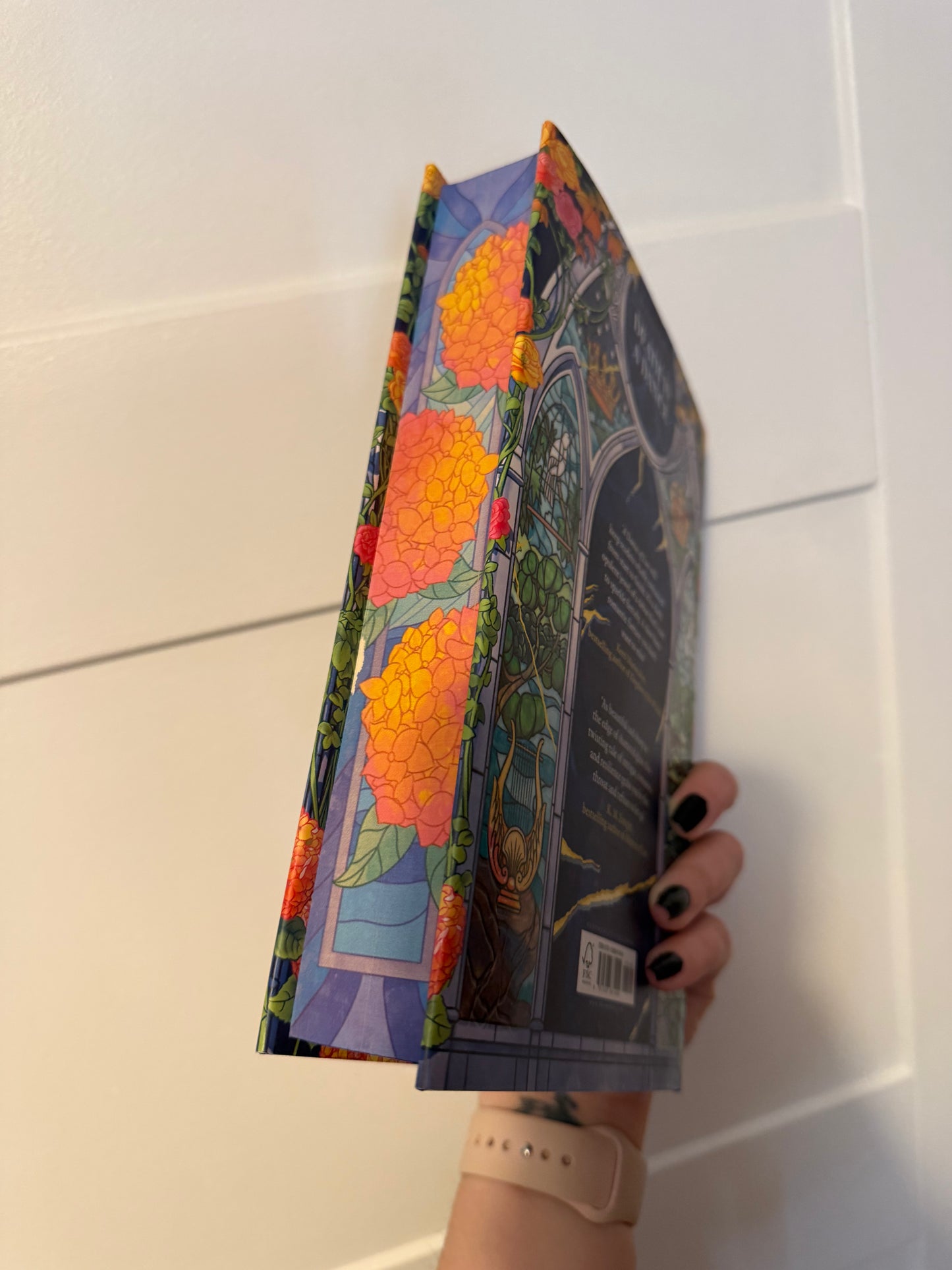 SECONDS SALE - A Dance of Lies Sprayed Edge Hardback (UK edition)