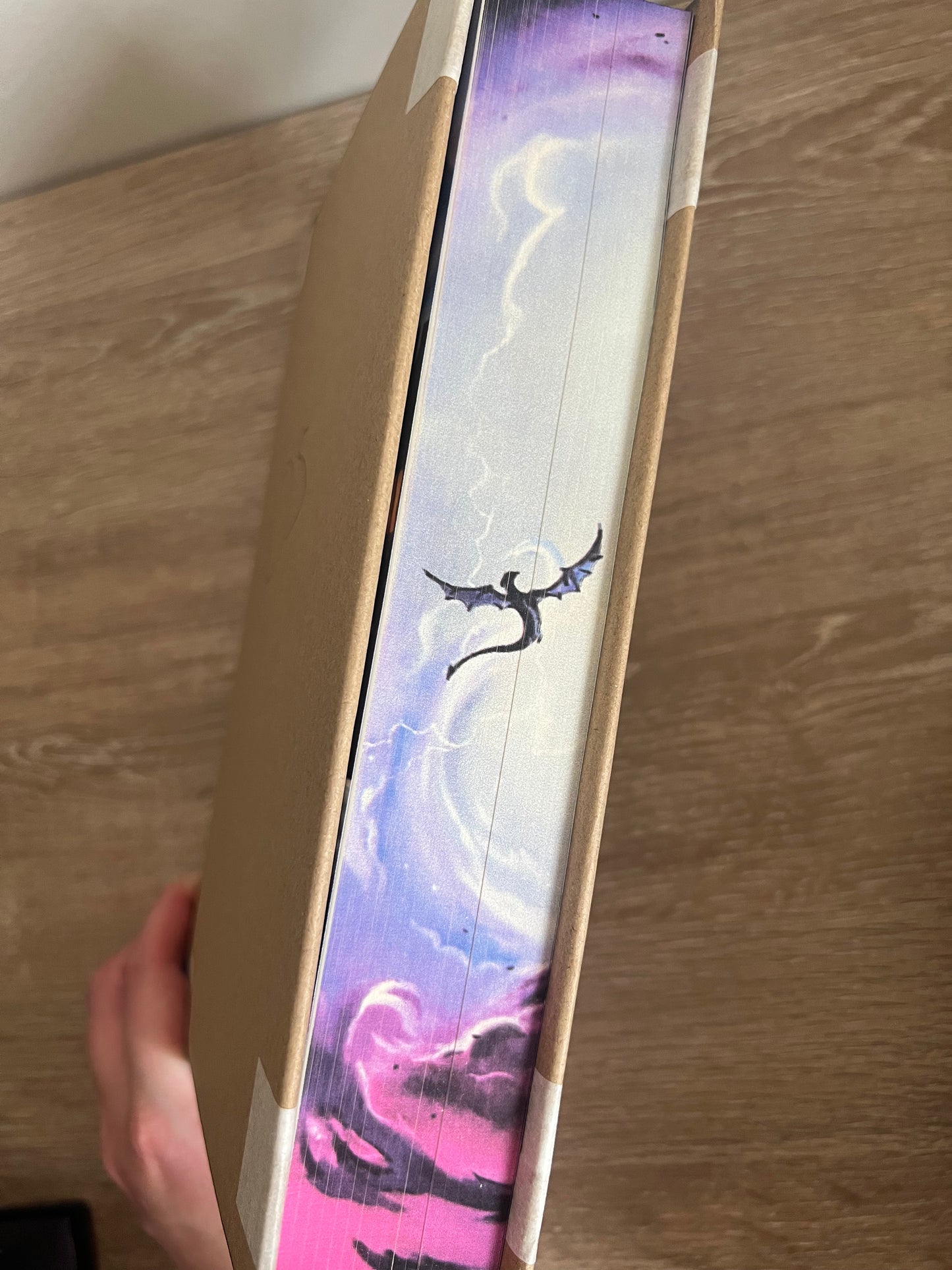 SECONDS SALE - Hanna's Bookpaintings Onyx Storm ONLY Collaboration Hardback (UK edition)