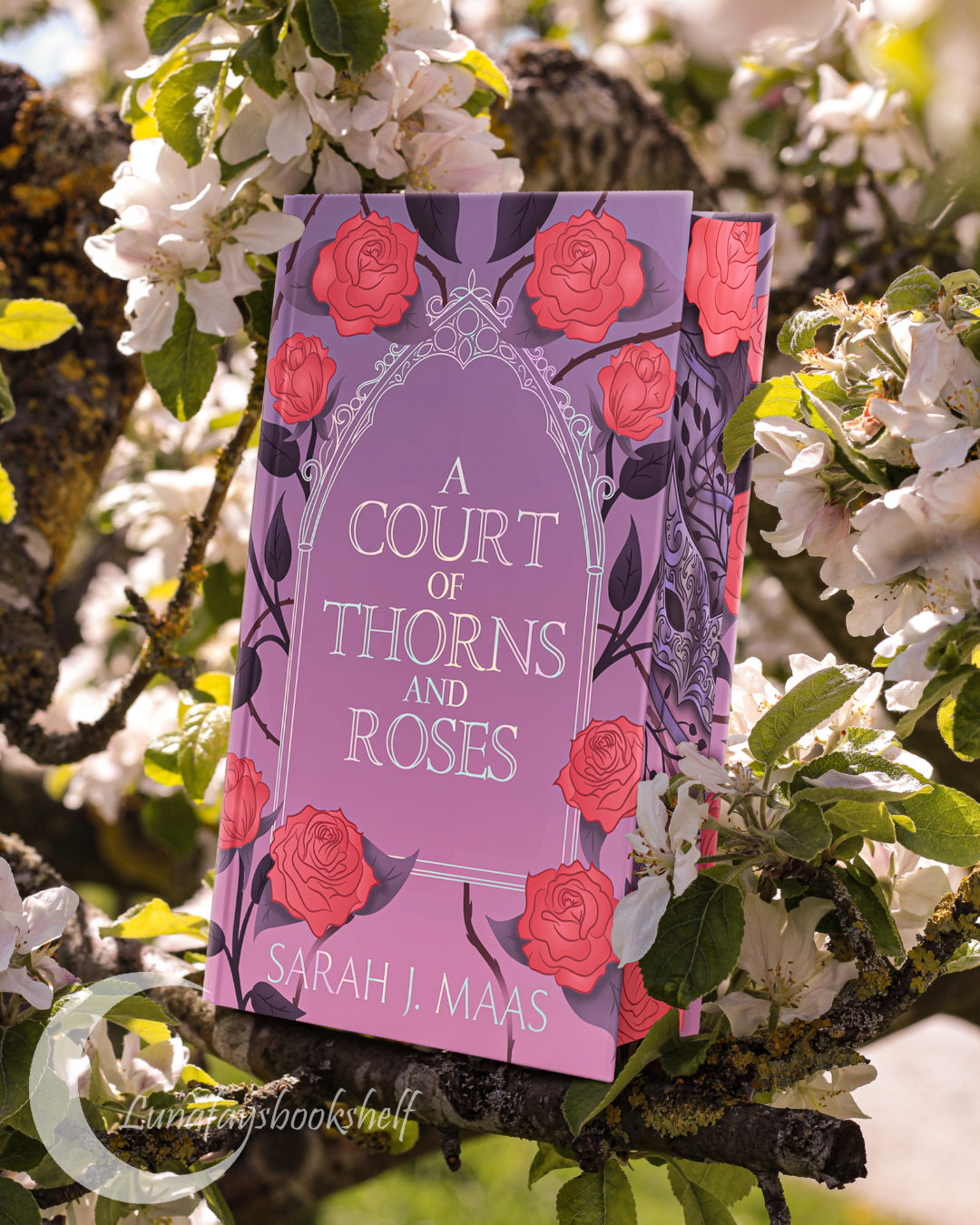 SECONDS (Minor Imperfections) - A Court of Thorns and Roses by Sarah J. Maas (Licensed dust jacket included)