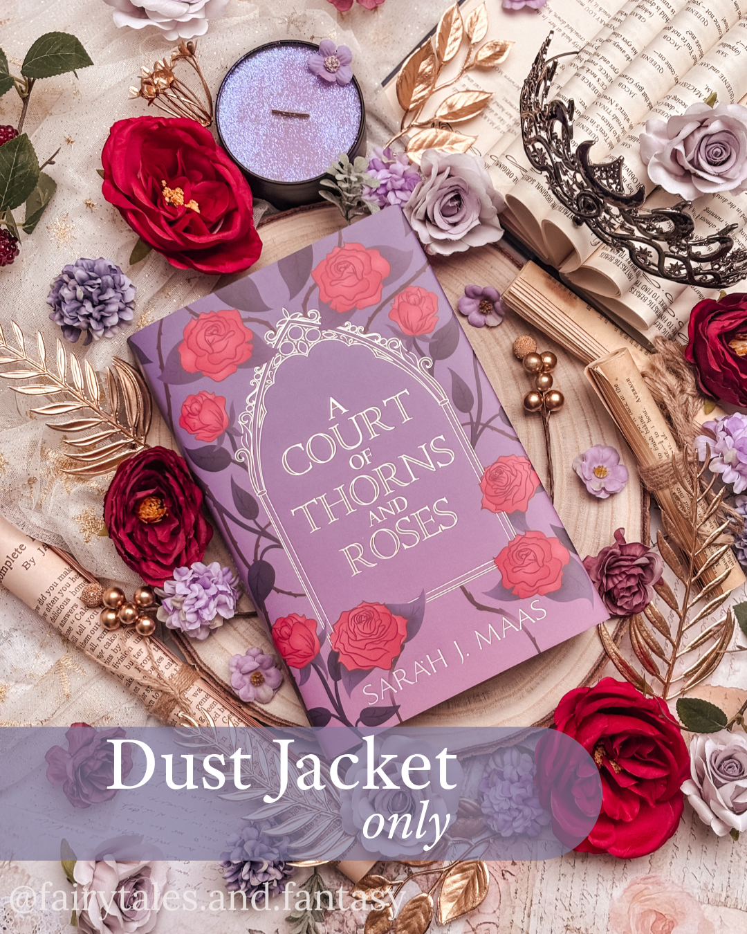 Dust Jacket - A Court of Thorns and Roses by Sarah J Maas (To fit UK hardbacks)