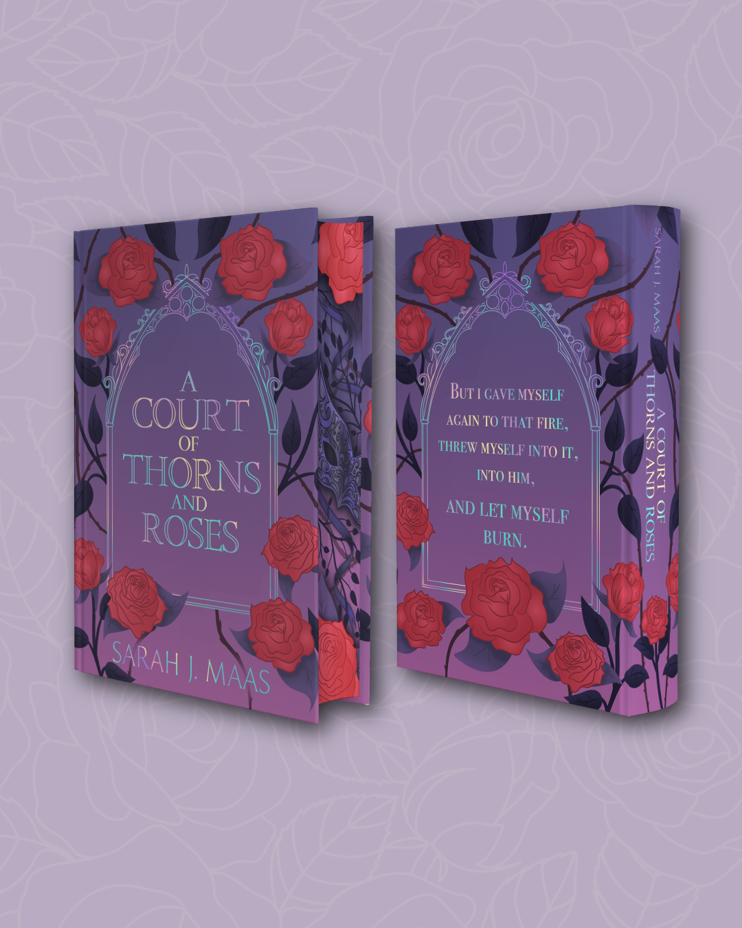 SECONDS (Minor Imperfections) - A Court of Thorns and Roses by Sarah J. Maas (Licensed dust jacket included)