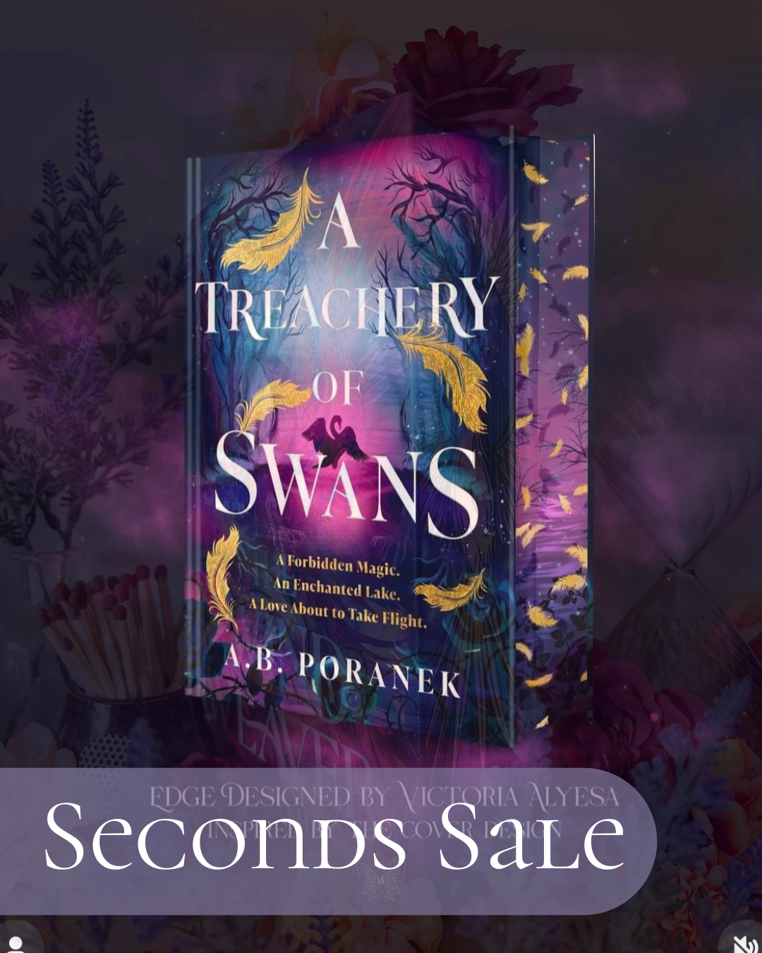 SECONDS SALE - Alyesasworld's Treachery of Swans Collaboration Hardback (UK edition)