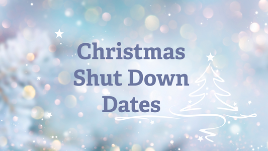 Christmas Delivery Dates 2025