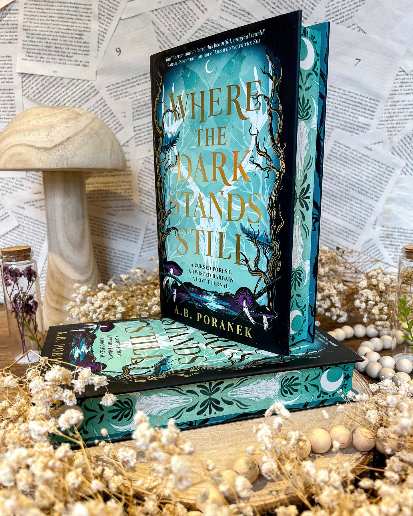 Where the Dark Stands Still by A.B. Poranek (UK hardback)