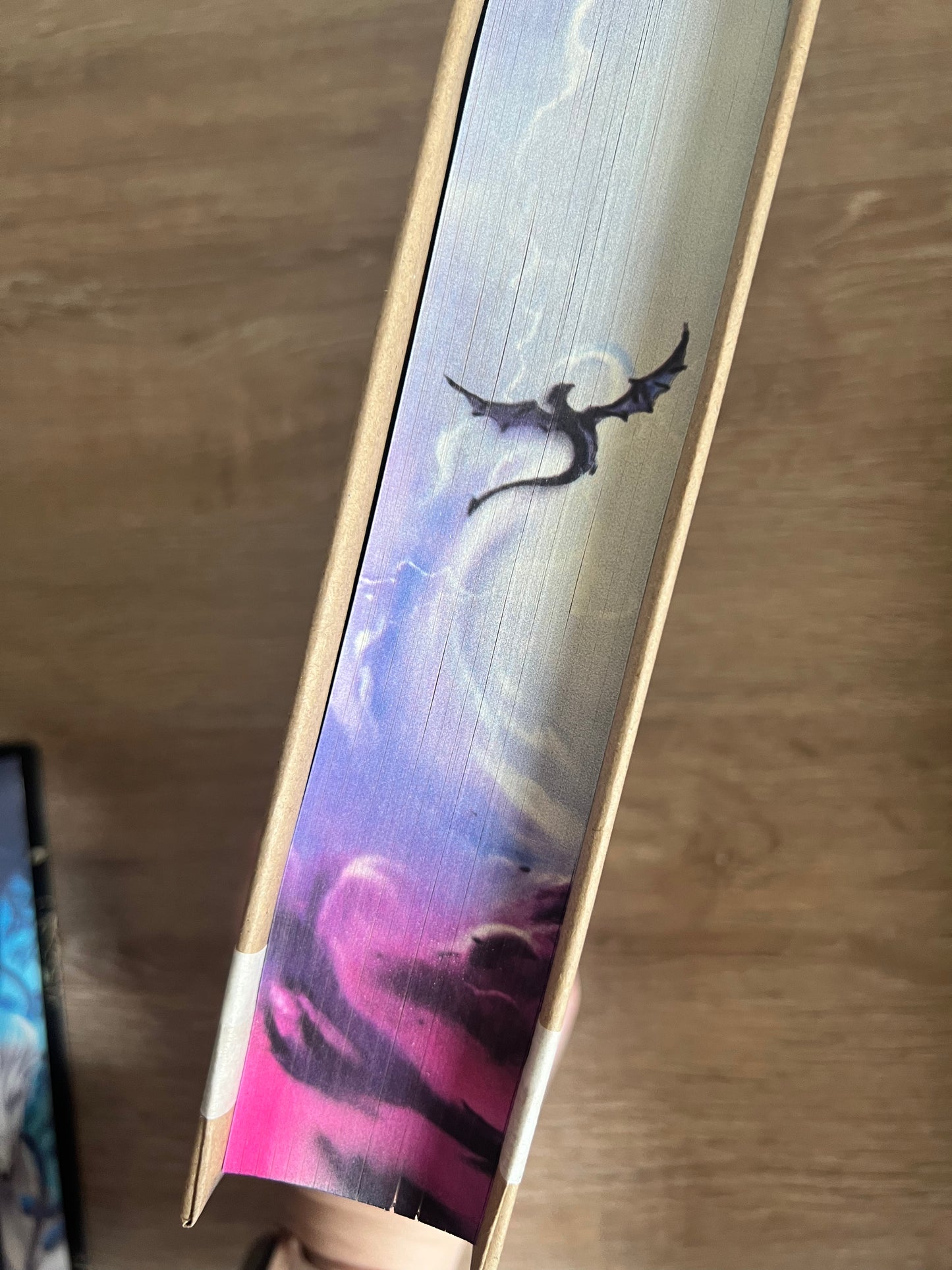 SECONDS SALE - Hanna's Bookpaintings Onyx Storm ONLY Collaboration Hardback (UK edition)