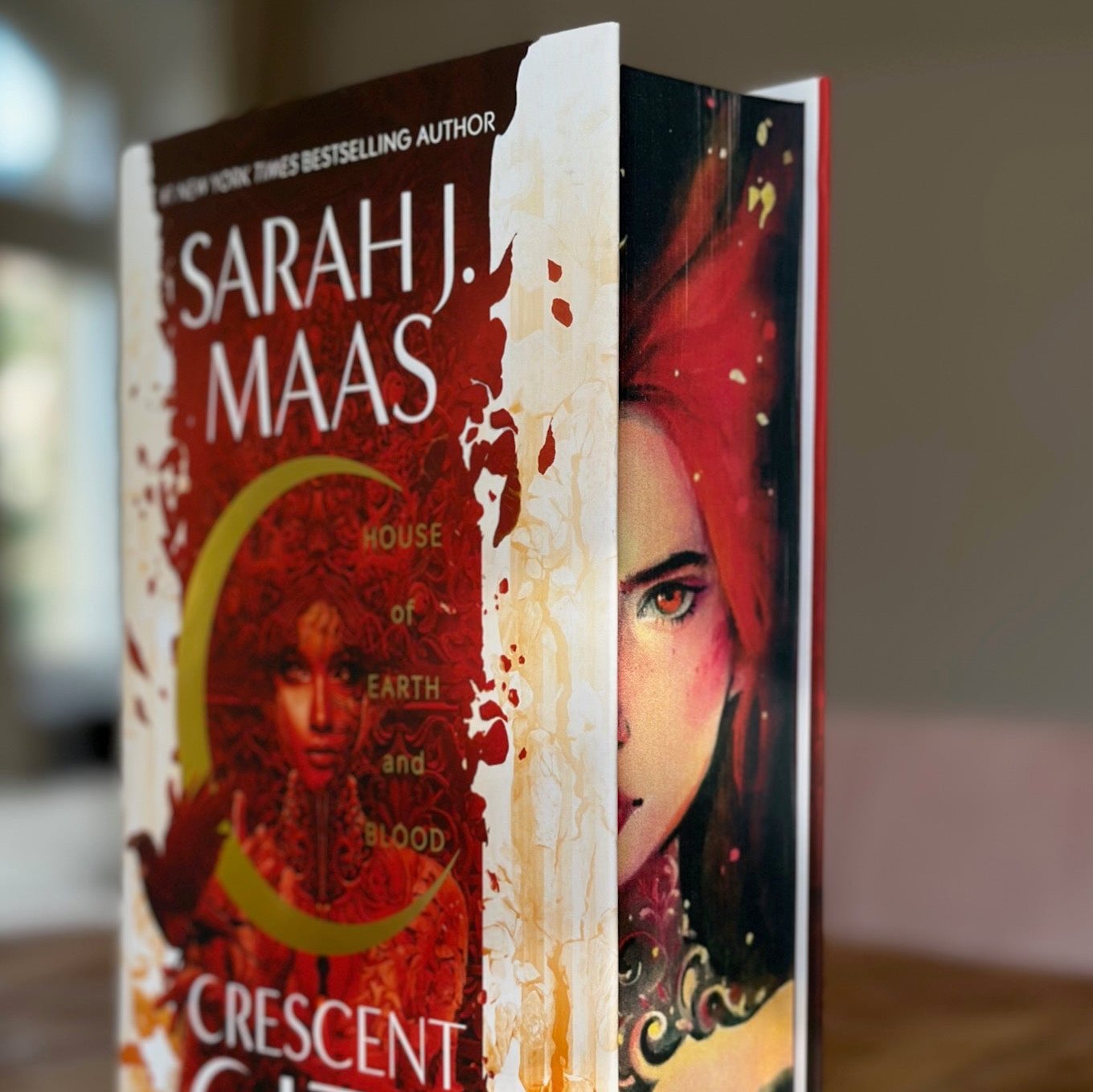 Hanna's Bookpaintings Crescent City Collaboration Bundle Deal Hardback (UK edition)