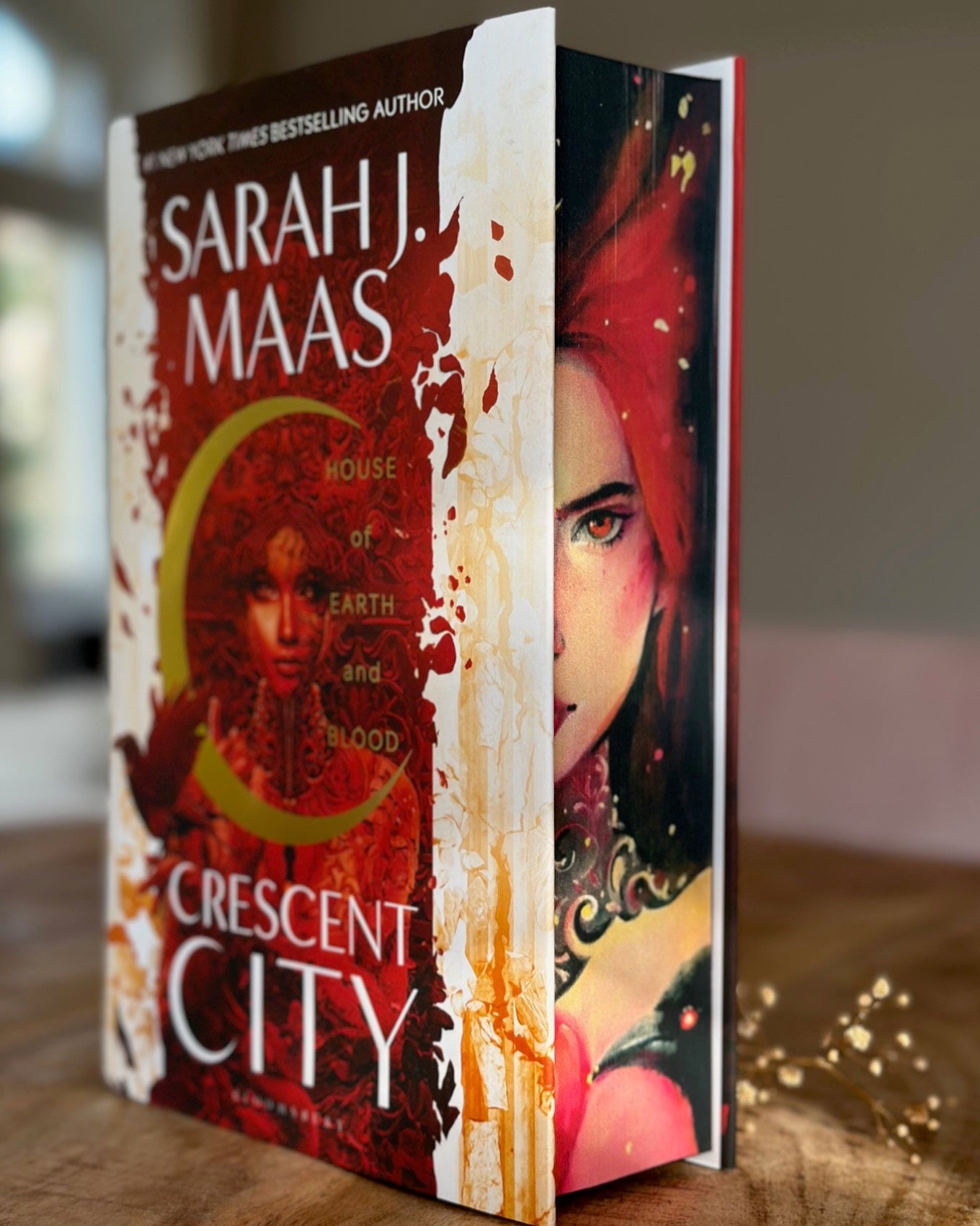 Hanna's Bookpaintings House of Earth and Blood ONLY Crescent City Collaboration Hardback (UK edition)