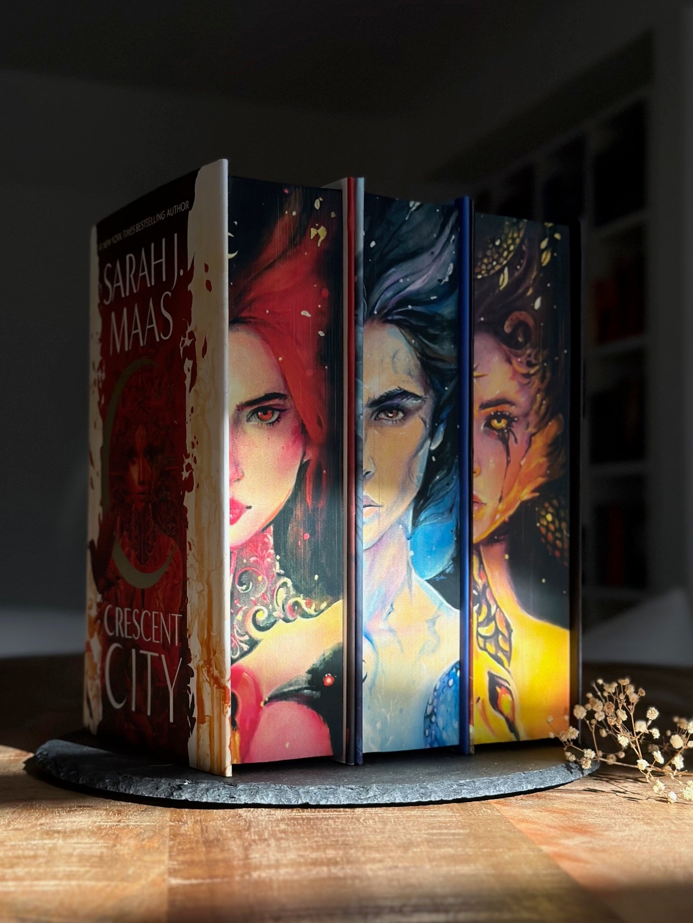 Hanna's Bookpaintings Crescent City Collaboration Bundle Deal Hardback (UK edition)