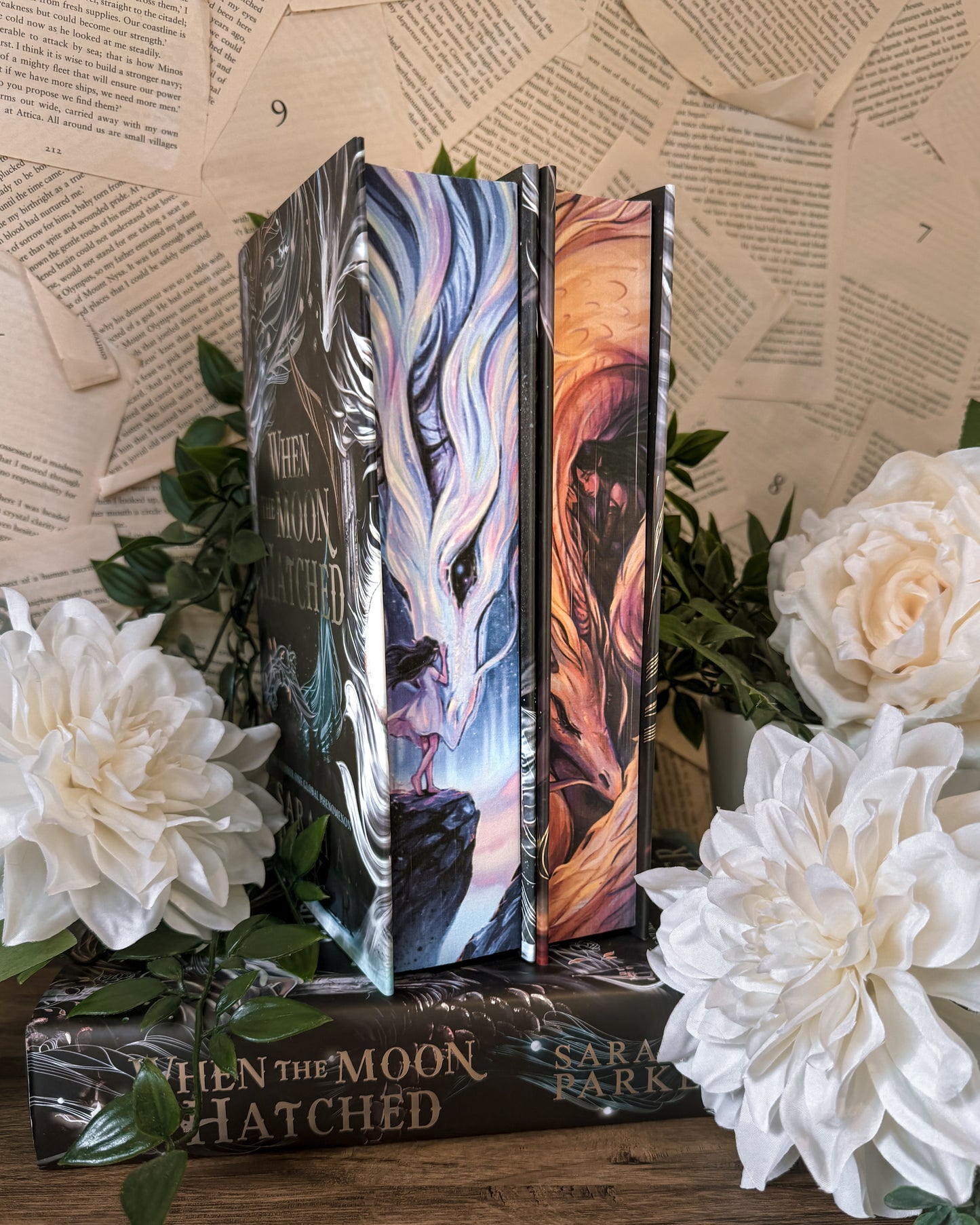 Hanna's Bookpaintings When the Moon Hatched and Ballad of Falling Dragons BUNDLE Collaboration Hardback (UK edition)
