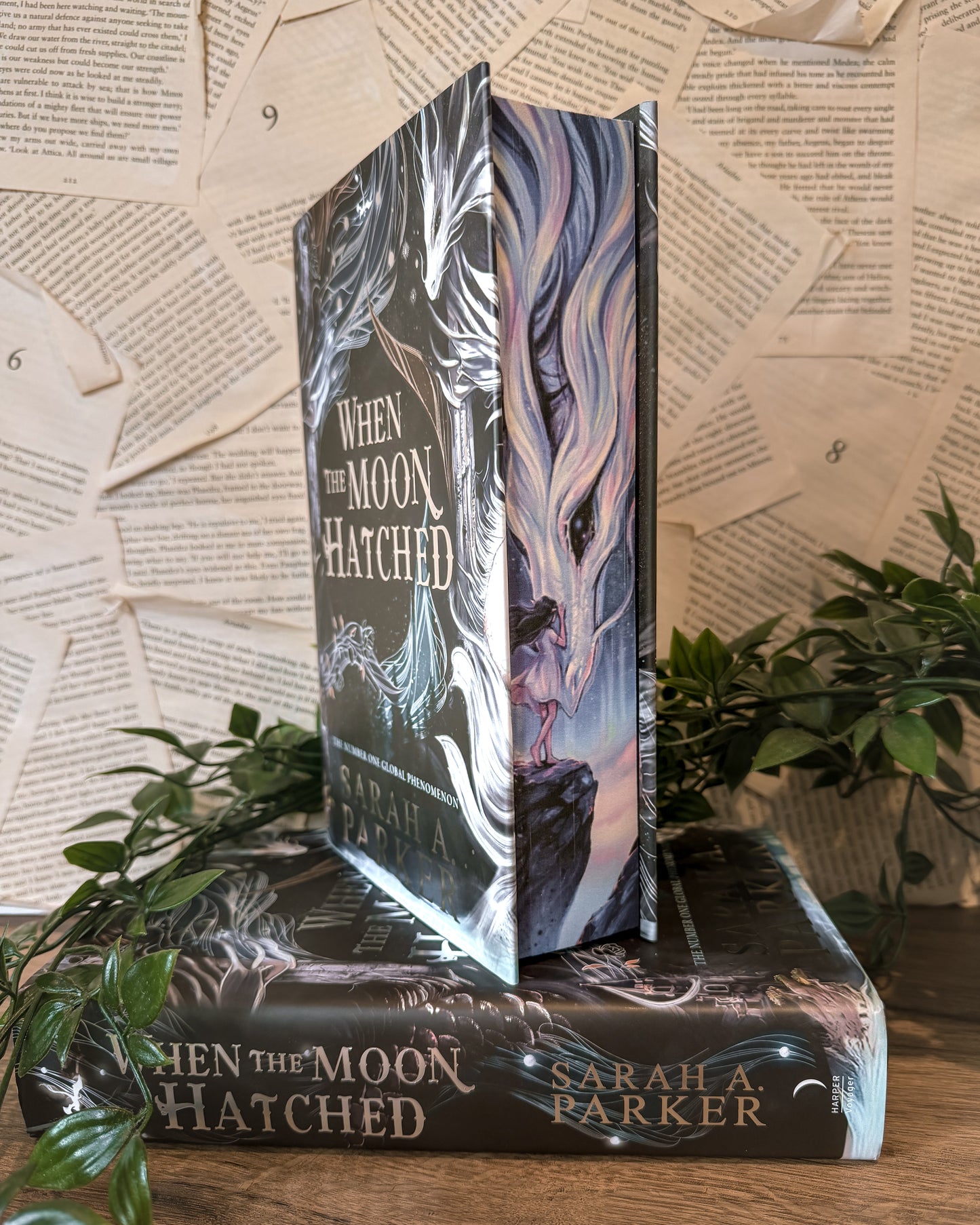 Hanna's Bookpaintings When the Moon Hatched ONLY Collaboration Hardback (UK edition)