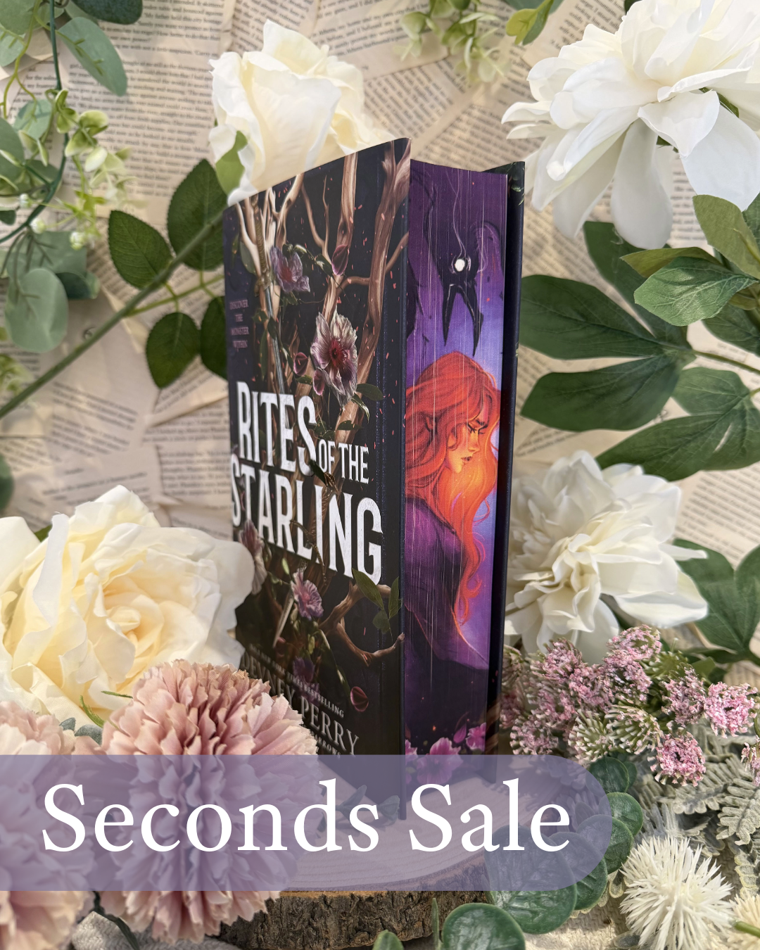 SECONDS SALE - Hanna's Bookpaintings Rites of the Starling Collaboration Hardback (UK edition)