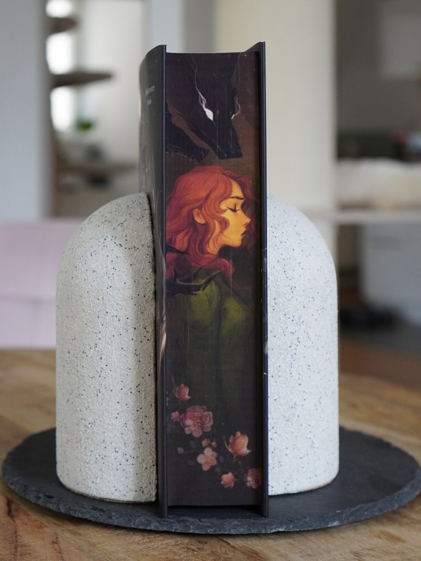 Hanna's Bookpaintings Shield of Sparrows Collaboration Hardback (UK edition)